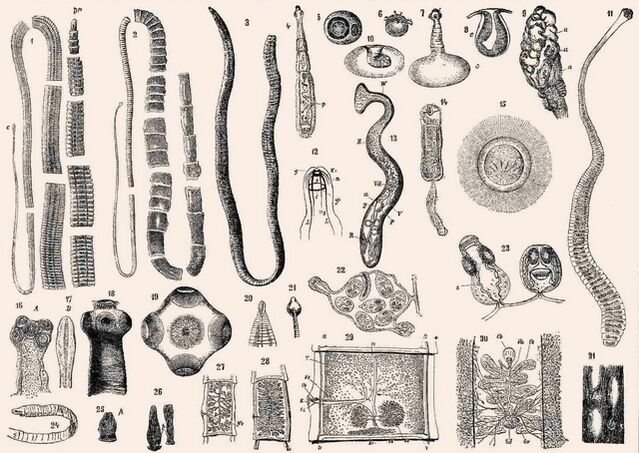 Видове паразити